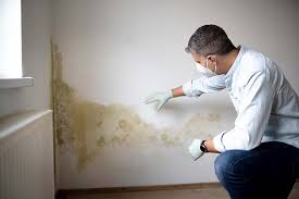 Best Crawl Space Mold Remediation  in Fort Mohave, AZ